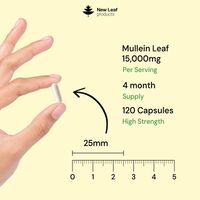 New Leaf Mullein Leaf Capsules
